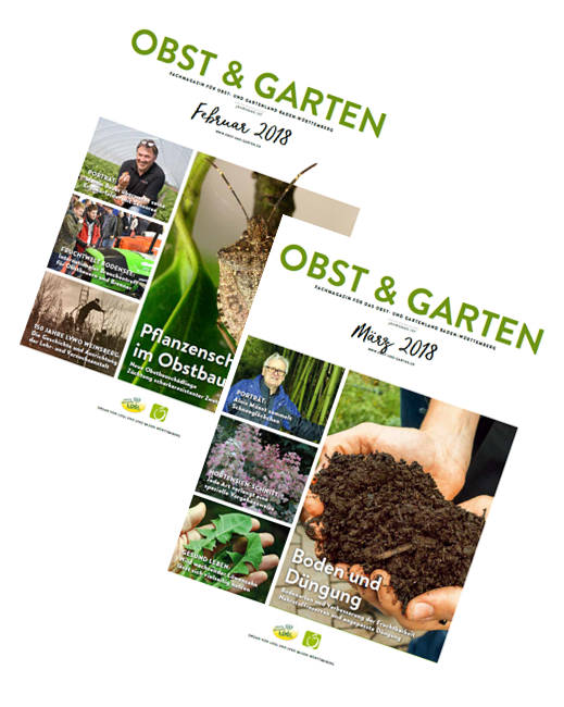 Obst Garten Beispielhefte